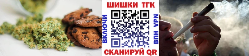 что такое   Тайга  Canna-Cookies конопля 