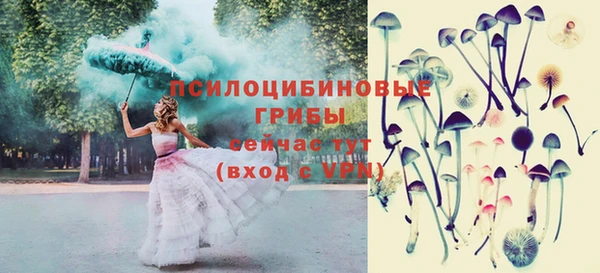 spice Абинск