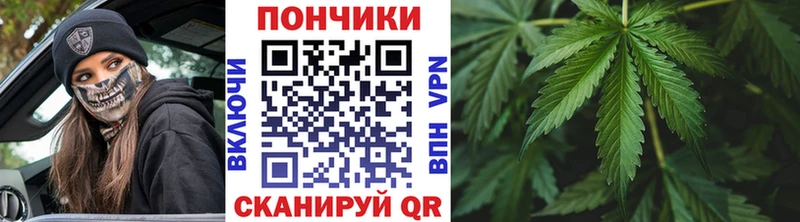 Марихуана OG Kush  Тайга 